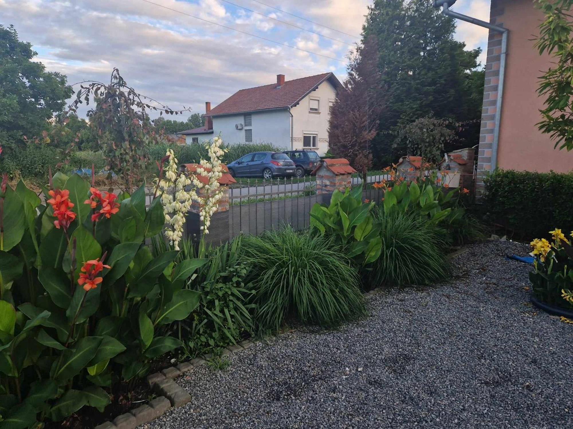 B&B Majhen Kopacevo Eksteriør billede