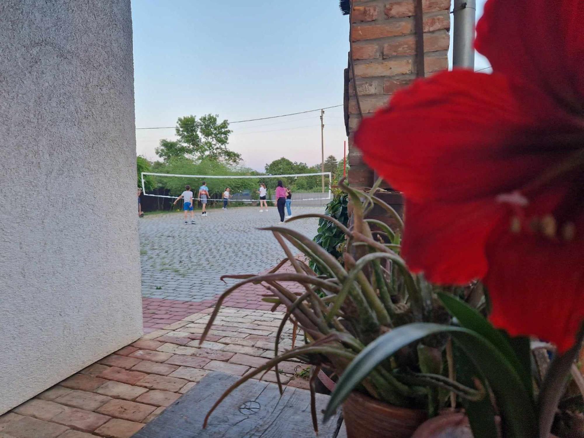 B&B Majhen Kopacevo Eksteriør billede